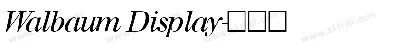 Walbaum Display字体转换